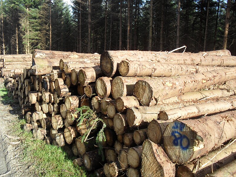 File:Lumber pile, Wicklow.jpg
