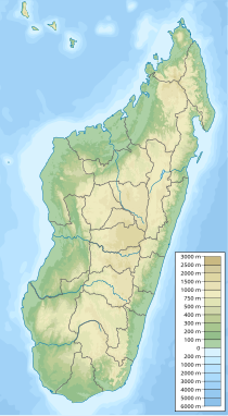 Rotbrust-Seidenkuckuck (Madagaskar)