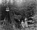 Mary H Peterson with Ruth Herberg (on stump with dog) and two women in forest, probably 1905 (PORTRAITS 2424).jpg
