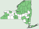 Menyanthes trifoliata NY-dist-map.png