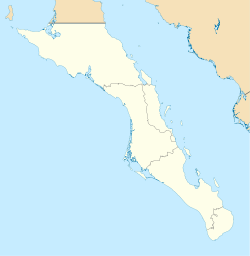 拉巴斯 La Paz在Baja California Sur的位置