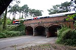 Meyrick Park Halt railway station