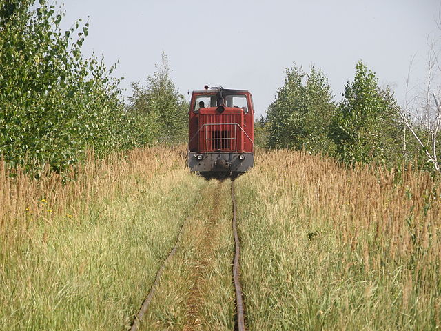 Gusevskoye peat narrow gauge railway, 2012