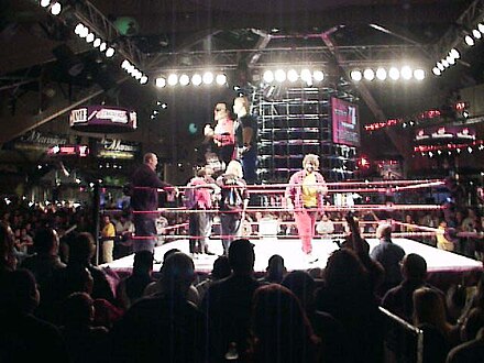 Foley at WrestleMania X-Seven Fan Axxess
