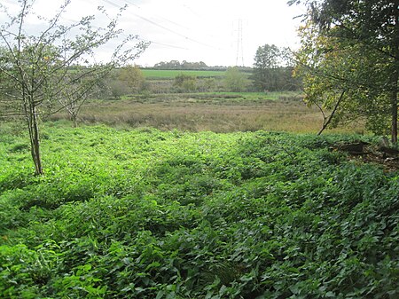 Misterton Marshes 7