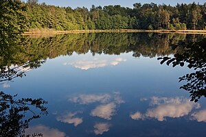 Middle pond in the city forest near Freiberg