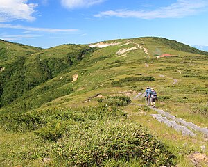 北側の薬師峠方面から望む太郎山と太郎平小屋（2015年8月8日）