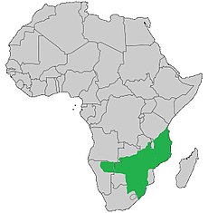Mozambique spitter distribution.jpg