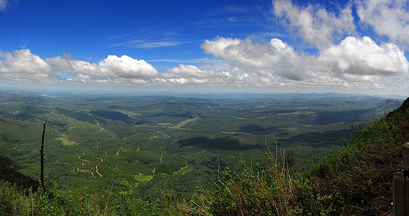 Mpumalanga landscape showing greenery and biodiversity