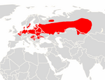 Verbreitungskarte Myotis dasycneme