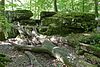 Naturdenkmal Nürtingen-Felsengruppe und Wasserfall im Döbelwald 81160493219.jpg