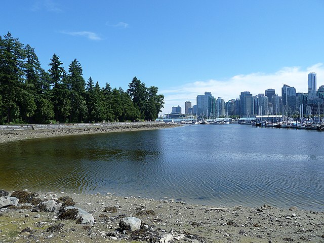 Natural v. Стэнли парк Ванкувер. Стэнли-парк Ванкувер животные. Пляжи Стэнли-парка. Stanley Park in Vancouver HDR.