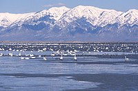 Great Salt Lake with the Wasatch Range in the background