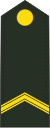 Netherlands-Army-OR-5.svg