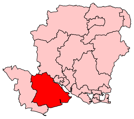 NewForestEast2007Constituency