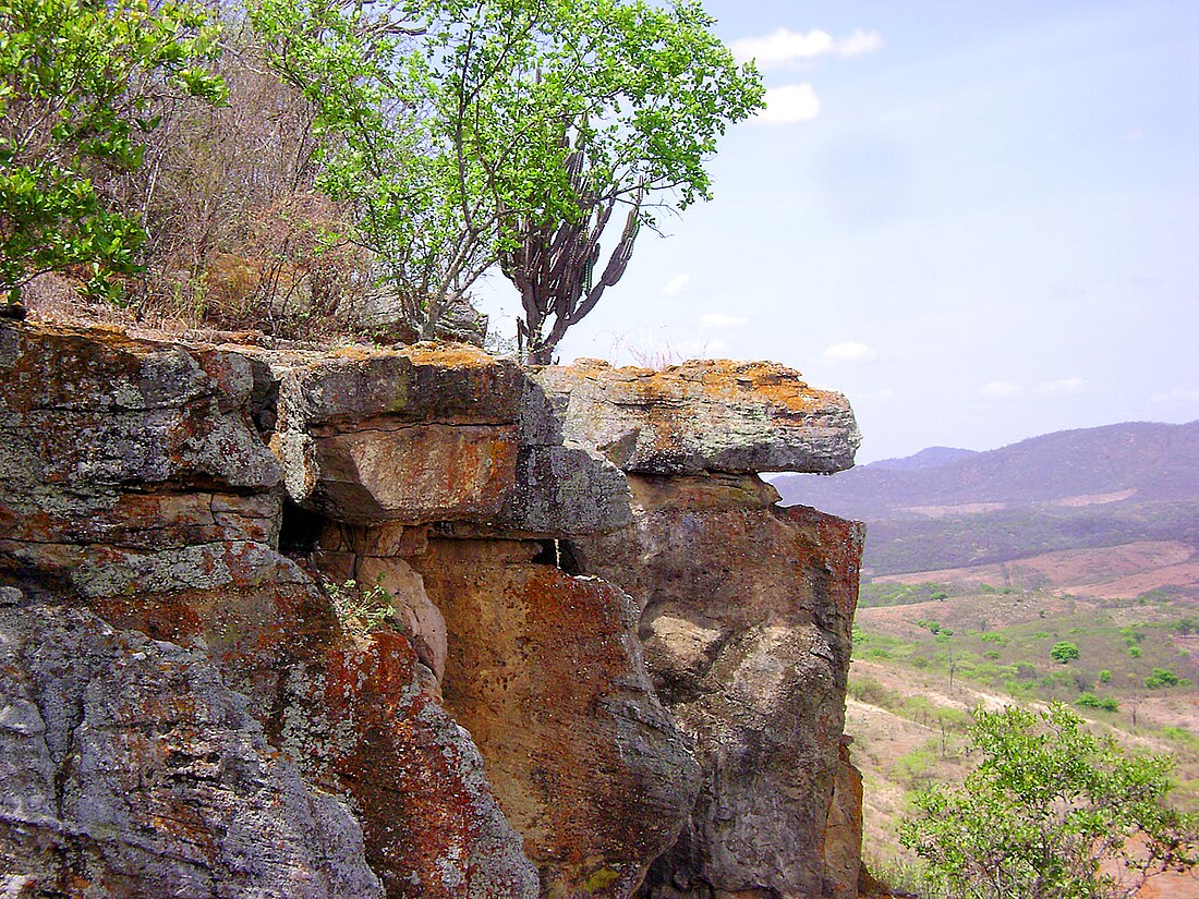 Cerrado