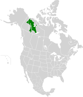 Описание изображения Тайга Северо-Западных территорий map.svg.