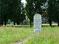 English: Memorial in the New Jewish cemetery in the town of Tábor, South Bohemian Region, Czech Republic with a poplar avenue from the former cemetery at the back. Čeština: Stéla na Novém židovském hřbitově ve městě Tábor, Jihočeský kraj. V pozadí topolová alej původního hřitova