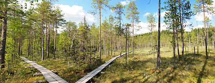 Nature trail in Nyrölä, Jyväskylä, Central Finland