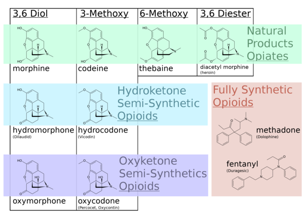Opiates v. opioids with chemical structures indicated. Many classical opiates are also referred to as opioids in modern nomenclature.