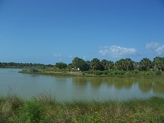 <span class="mw-page-title-main">Pelican Island National Wildlife Refuge</span> United States National Wildlife Refuge in Florida