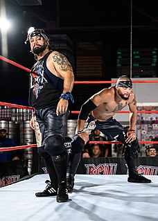 <span class="mw-page-title-main">Santana and Ortiz</span> Professional wrestling tag team