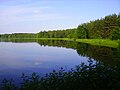 English: Pond in Orzesze Polski: Pasieki