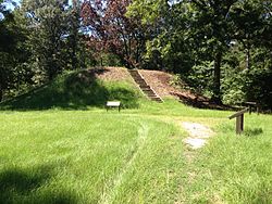 Owl Creek Mounds 1.JPG