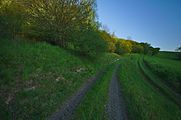 Čeština: Přírodní památka Nad Koupalištěm, okres Žďár nad Sázavou