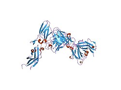 PDB 1jps EBI.jpg