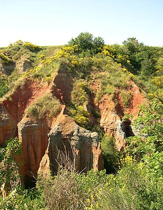 <span class="mw-page-title-main">Paleosol</span> Soil buried under sediment or not representative of current environmental conditions