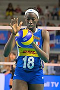 Volleyball player - Paola Egonu Paola Egonu.jpg