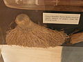 Grass brushes from India used to apply sheets fo paper onto a drying wall