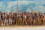 Thumbnail for Indigenous people of New Guinea