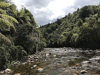 Parapara River