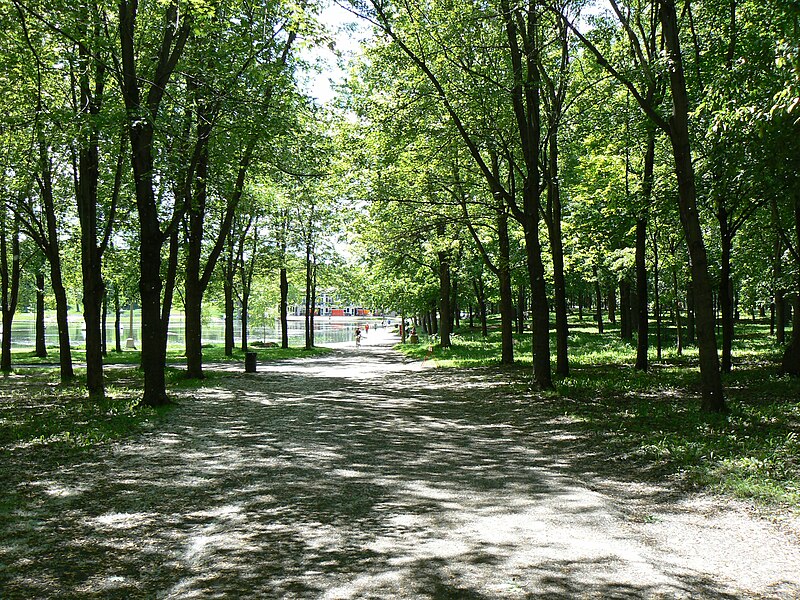 File:Path near Beaver Lake in Mount Royal Park.JPG