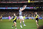 Thumbnail for 2018 Geelong Football Club season