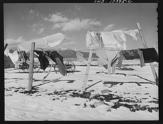 File:Penasco, Taos County, New Mexico. Barbed wire fences make excellent clotheslines LCCN2017845533.tif