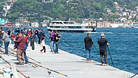 People fishing near Rumelihisarı, Istanbul