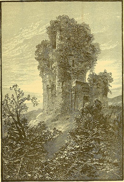 File:Picturesque Ireland - a literary and artistic delineation of the natural scenery, remarkable places, historical antiquities, public buildings, ancient abbeys, towers, castles, and other romantic and (14757013626).jpg