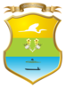 Official seal of Pijiño del Carmen