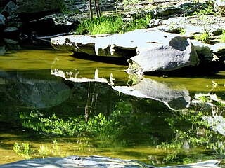 <span class="mw-page-title-main">Piney Creek Ravine State Natural Area</span> State park in Illinois, USA