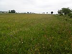 Naturschutzgebiet Medebach-Frauenbruch