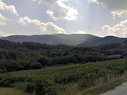 A valley, mountain and forests photographed from the side of a road.