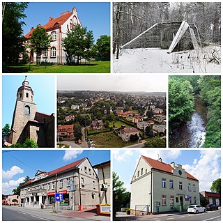 <span class="mw-page-title-main">Podlesie, Katowice</span> Katowice District in Silesian Voivodeship, Poland