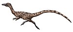 Restauration Podokesaurus.jpg