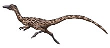 Hypothetical life restoration Podokesaurus restoration.jpg