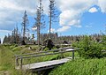 Čeština: Les po orkánu Kyrill (v r. 2007) nedaleko vrcholu Poledníku, který je součástí národního parku Šumava, nedaleko obce Prášily v okrese Klatovy English: Forest after storm Kyrill in 2007, near peak Poledník in national park Šumava, near Prášily in Klatovy District