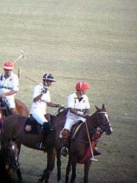 Polo jaipur.jpg