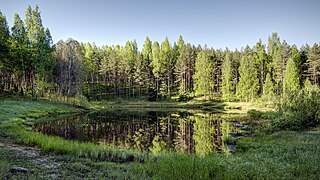 <span class="mw-page-title-main">Mustoja Landscape Conservation Area</span> Protected area in Estonia